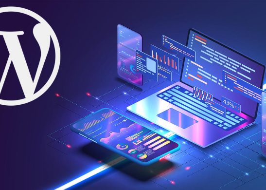dizajn web sajta za firmu